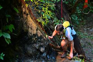 BIB: 
                            <button type="button" onclick="openModal(13235390)" class="btn btn-primary btn-sm float-right btn-popup" data-toggle="modal" data-target=".modal-high-quality">
                        <i class="fas fa-shopping-cart"></i> Add to Cart
                    </button>
                                            <button type="button" onclick="isThisMe(13235390, true)" class="btn btn-success btn-sm float-right btn-popup btn-isme hidden" data-toggle="tooltip" data-placement="bottom" title="นี่คือรูปของคุณใช่ไหม คลิกที่นี่เพื่อเอาเข้าอัลบั้ม">
                        <i class="fas fa-plus"></i> Add to album
                    </button>
                    <button type="button" onclick="isThisMe(13235390, false)" class="btn btn-warning btn-sm float-right btn-popup btn-isnotme hidden">
                        <i class="fas fa-ban"></i> Remove from album
                    </button>